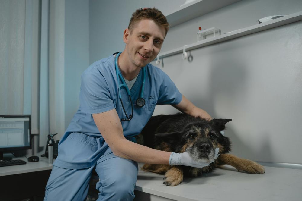 animal care