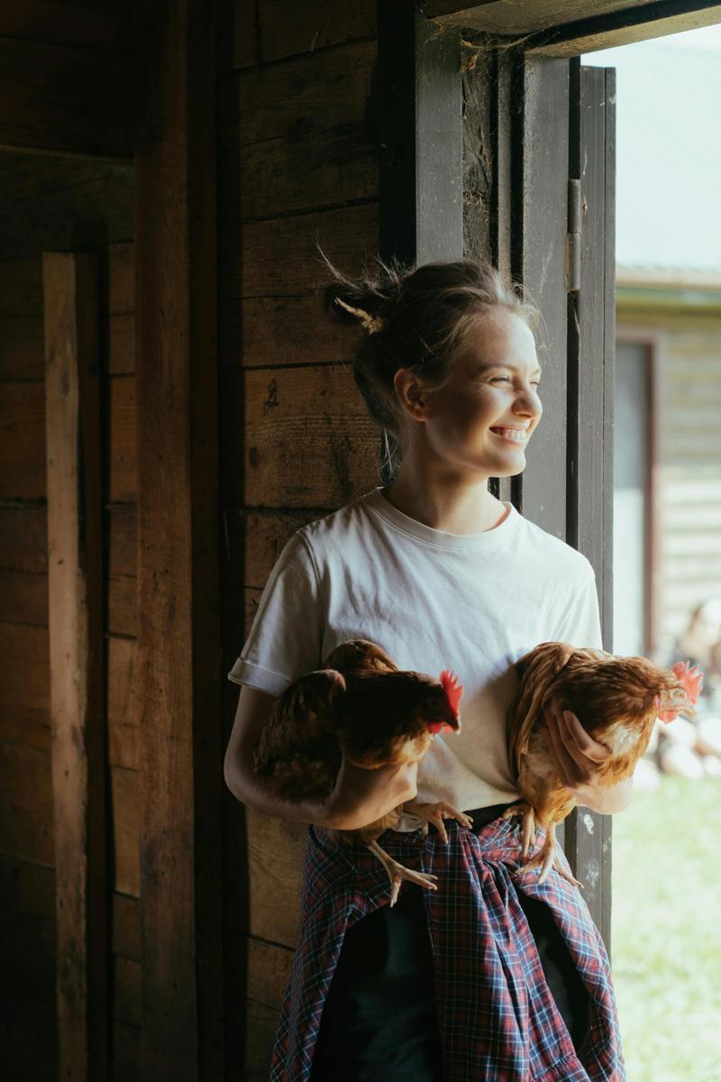 animal care