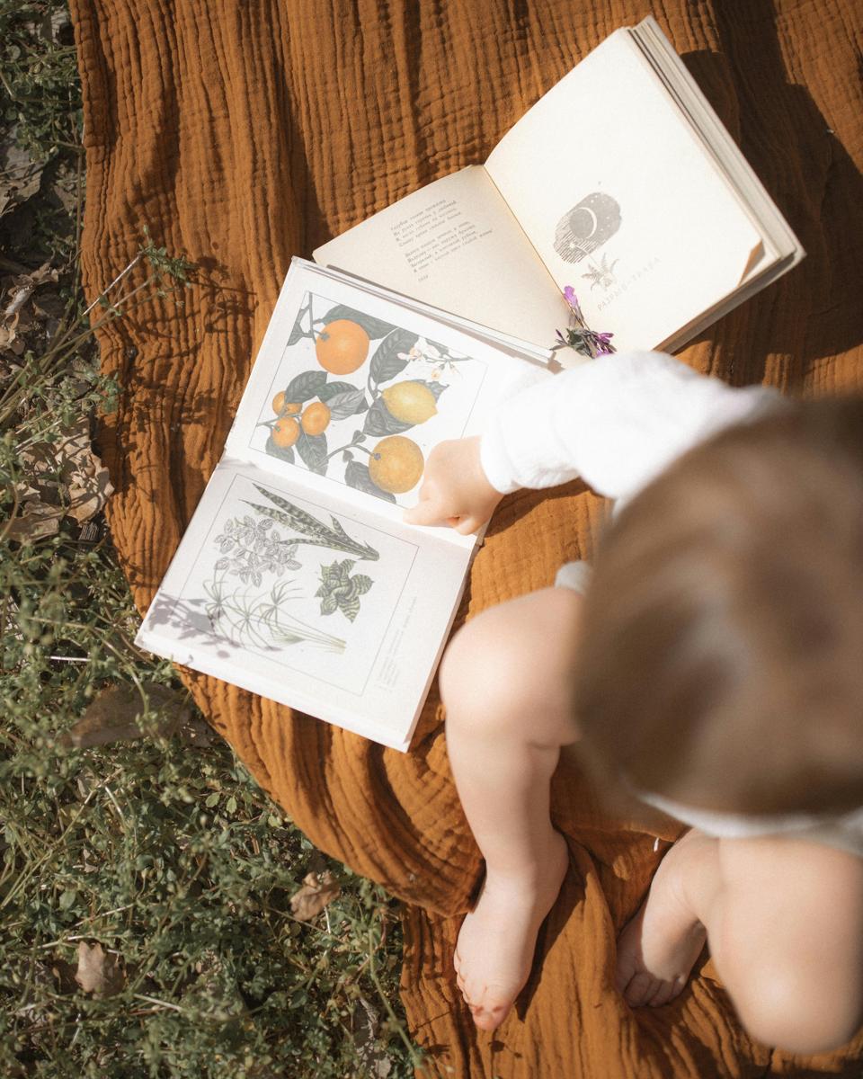 children books